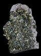 Chalcopyrite Specimen - Missouri #35100-2